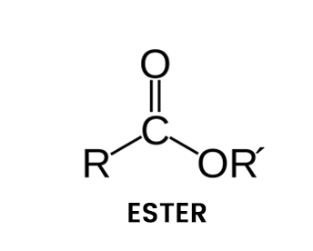 ester diagram_result