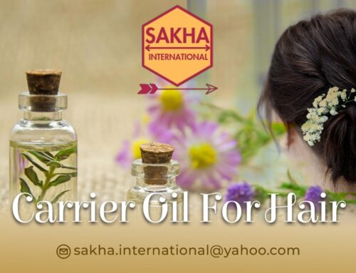 Best Carrier Oil For Hair