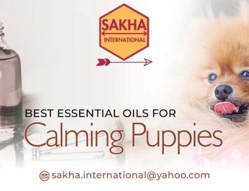 Scented Snuggles  Best Essential Oils For Calming Puppies