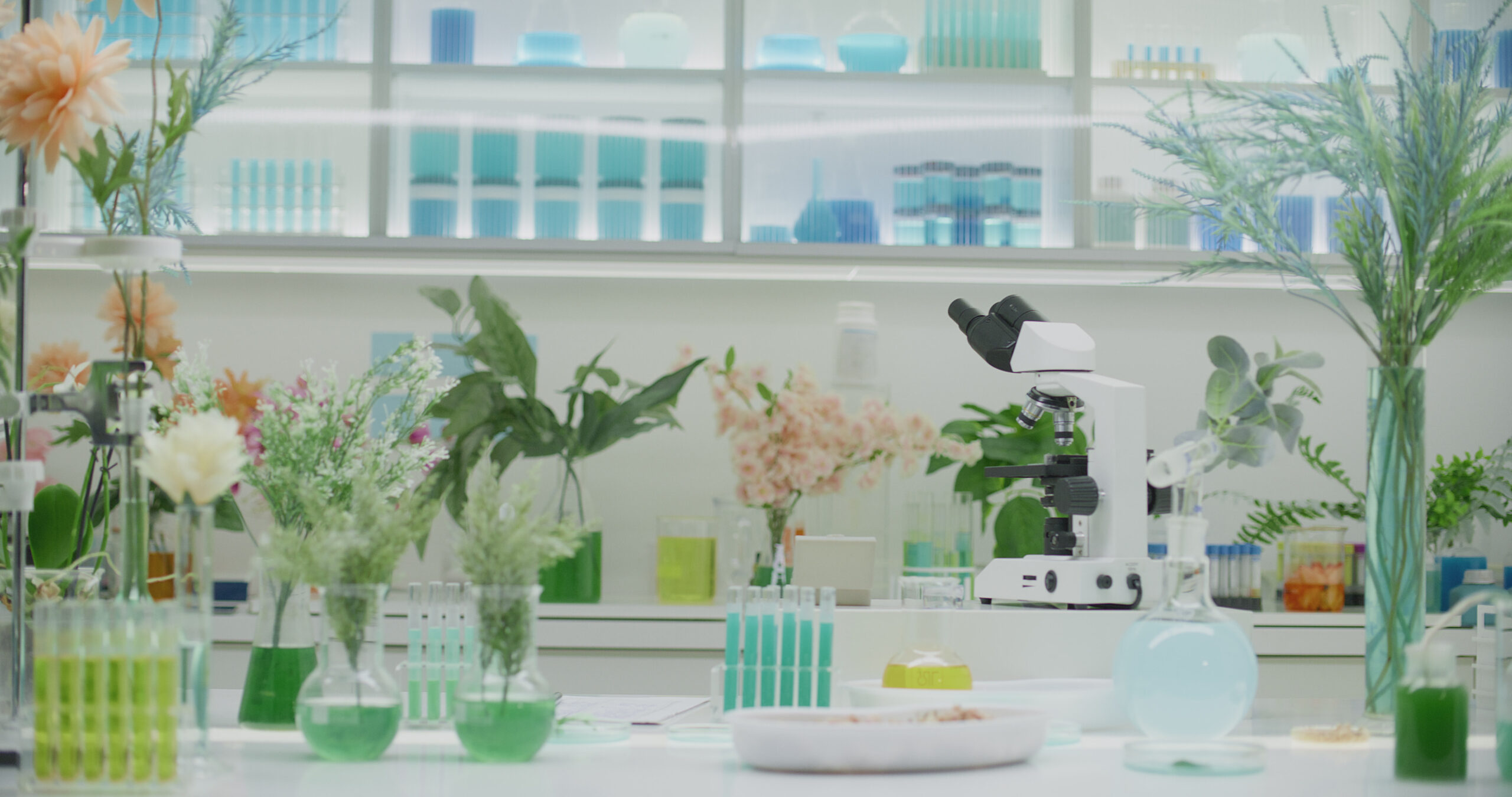 Premium Speciality Chemicals Supplier In Delhi Sakha International