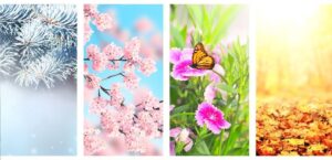 Mind the Weather and Seasons