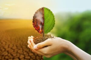 Environmental Impact