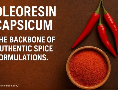 Oleoresin Capsicum – The Backbone of Authentic Spice Formulations