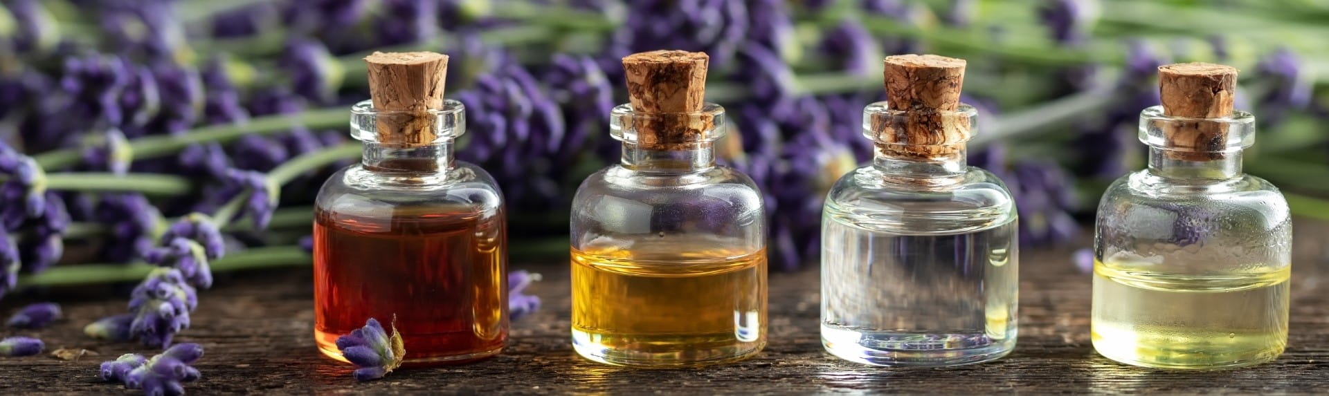 Sakha International Banner Sakha International Website Banner