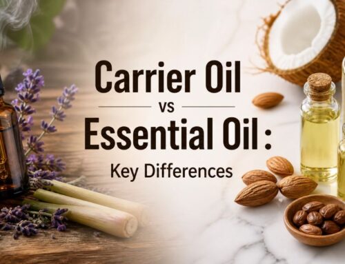 Carrier Oil vs Essential Oil : What’s the Real Difference?