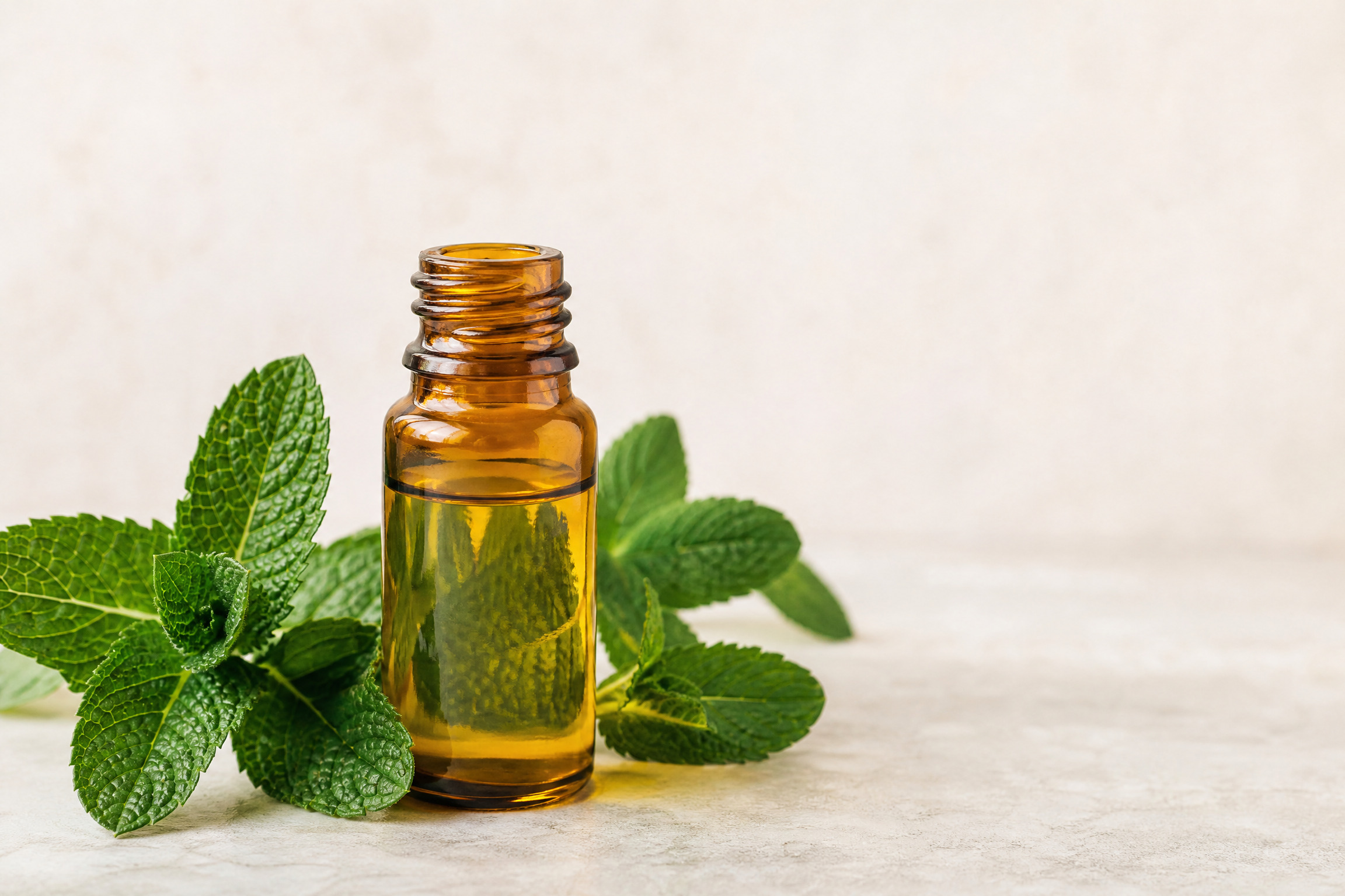Peppermint / Mentha Oil 4 peppermint essential oil b2b